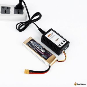 Image of a non-programmable LiPo Charger (Avoid)