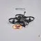 Review: NewBeeDrone Hummingbird RaceSpec V2 – The Ultimate Whoop for Hardcore Racers